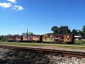 Stopping by some abandoned railroad cars during our bike ride from Athens to Nelsonville.