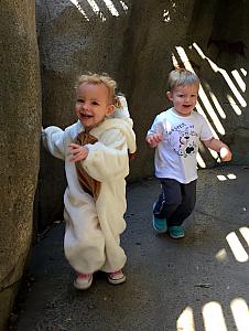 Capri and Benny running through the cave by the lion's den.